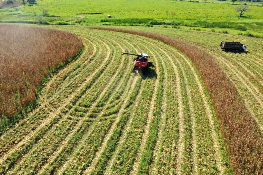 uma aliança estratégica para o futuro do país