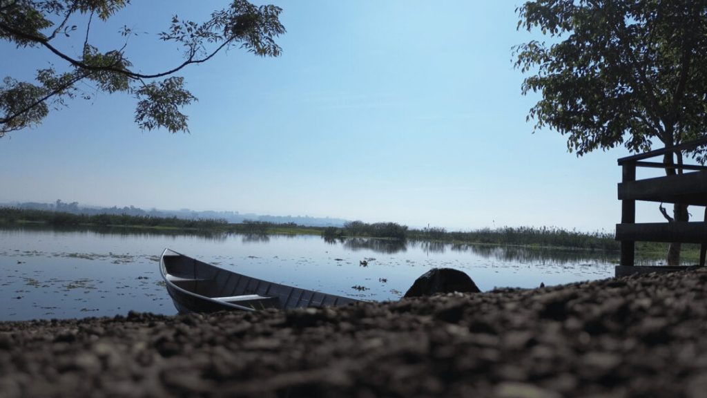 EXCLUSIVO: Usina São José pode pagar até R$ 50 milhões por acordo após mortandade no Rio Piracicaba