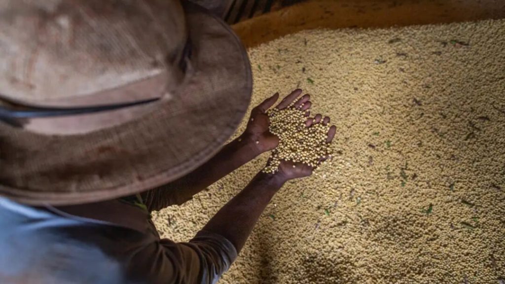 Livro aborda produção sustentável em meio à mudança climática