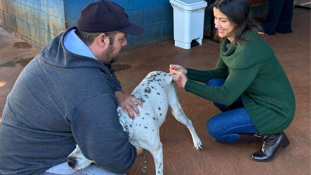 Vacinação antirrábica para cães e gatos é suspensa temporariamente em Sumaré